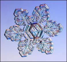 Qu'appelle-t-on la snowbelt, c'est  dire la ceinture de neige ?