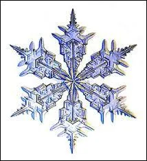 Le flocon de neige, quand il a atteint un poids suffisant, tombe vers le sol, et il neige. De quoi est majoritairement compos un flocon de neige ?