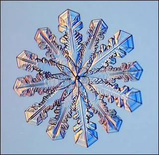 Les cristaux de neige se forment  partir de vapeur d'eau et non d'eau, du froid intense (- 39) et ?