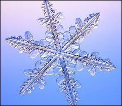 Descartes et Keppler ont t les premiers  tudier la neige. Quel nom Descartes donnait-il au flocon de neige ?