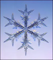 Selon un proverbe angevin, De la neige les flocons sont les ... ... ... ... . . de la saison... .