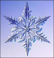 C'est en virevoltant dans les nuages que les cristaux acquirent leur forme, et la modifient au fur et  mesure des changements de temprature des lieux traverss. Si le passage est trs froid...