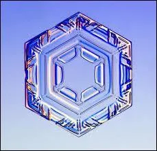 Les cristaux de la forme 'sans bras', dont on voit un exemple sur l'illustration, sont frquents...