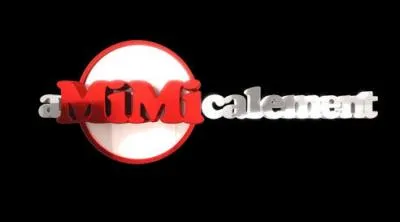 Qui prsente cette mission ?