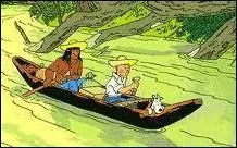 Dans quel album Tintin navigue-t-il sur une pirogue ?