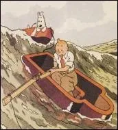 Dans quel album, Tintin se retrouve-t-il en danger dans un cercueil flottant, perdu en pleine mer ?