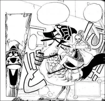 Comment se nomme le super colvert de Vivi ?