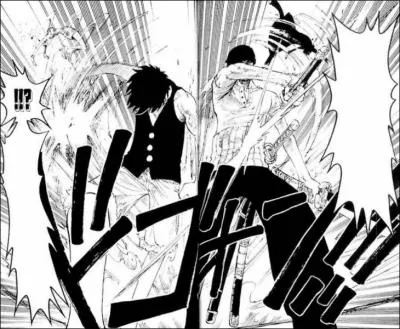 Pourquoi Zorro et Luffy se battent-ils ?