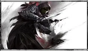 Rsume en deux mots les voleurs :