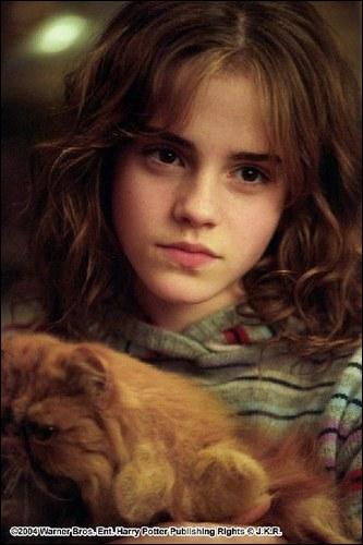 Quel animagus non déclaré Hermione a-t-elle découvert ?