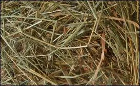 De quoi est compos le foin ?