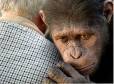 Film sorti en France en aot, c'est une prquelle  la saga 'La Plante des singes. '