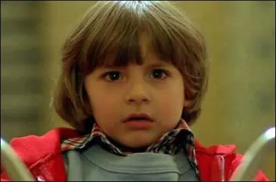 Comment s'appelle le fils de Jack Torrance ?