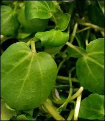 Rien  voir avec l'Edit de Nantes !