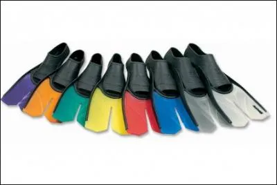 A-t-on le droit de mettre des palmes pendant une comptition de natation ?