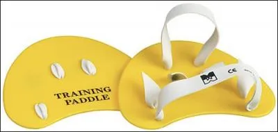 Comment s'appellent ces accessoires de natation ?