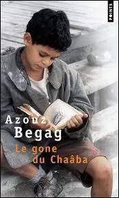 Le(s) thme(s) du livre 'Le Gone du Chaba' est(sont) :