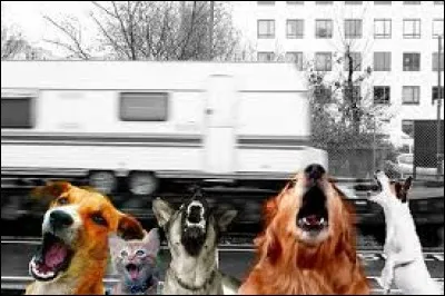 ==> è / ien / a / oi / é / a / a / a / a / a