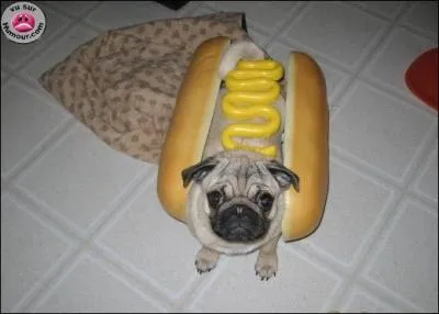 Bien sur, on ne pouvait pas echapper  un dguisement de ...