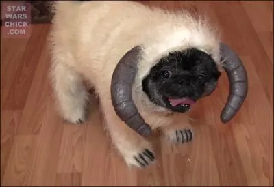 Dans quel univers cinmatographique retrouve-t-on ce genre de bestioles ?