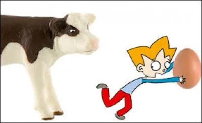 ''Qui vole un œuf, vole un -----------.''