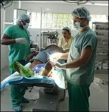 Quel grand chirurgien ralise le 27 avril la premire greffe du coeur europenne ?