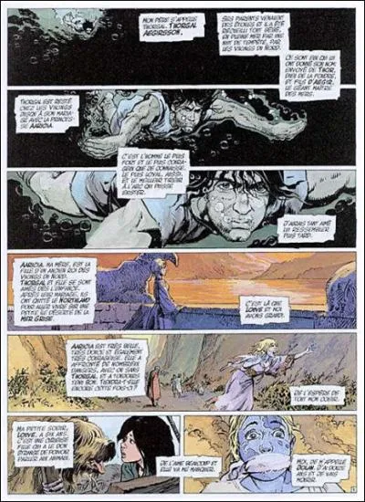 De quel album est extraite cette planche ?