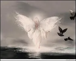 Qu'est-ce qui tait blanc pour Michel Berger ?