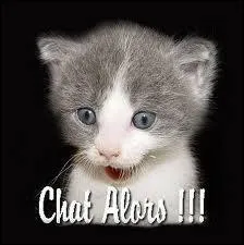 Que signifie l'expression Avoir d'autres chats  fouetter ?