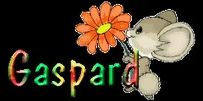 De quelle origine vient le prénom Gaspard, qui signifie "celui qui vient voir" ?