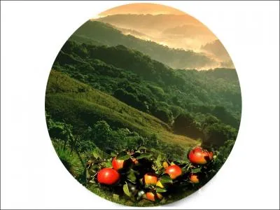 Qu'est-ce qui a t cr le troisime jour ?