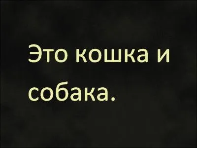 Traduire la phrase de l'image.