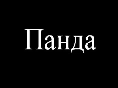 Trouvez le mot transparent qui correspond  l'image :