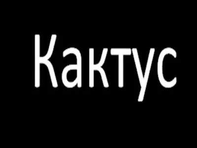 Trouvez le mot transparent qui correspond  l'image :