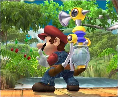 Combien de demi-cercles Mario a-t-il sur sa moustache ?