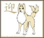 Quelle est cette chienne ?