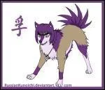 Quelle est cette chienne ?