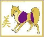 Quelle est cette chienne ?