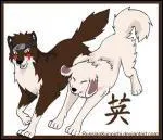 Quel est le chien de gauche ?