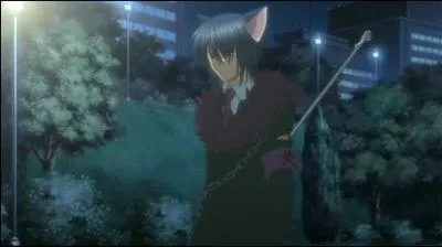 Quelle est cette chara nari et avec qui est-elle ?