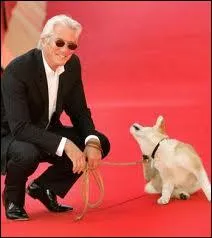 Quelques heures au compteur, mais qu'il vieillit bien celui-ci, et quelle gr�ce en Mr Clark quand il danse. De plus, c'est un pacifiste, ce qui pour un am�ricain �quivaut � faire le grand �cart...