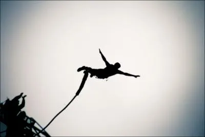 Le saut  l'lastique s'appelle galement :