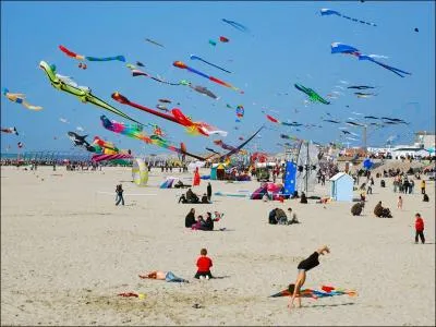 Ils y en a des centaines ... . .