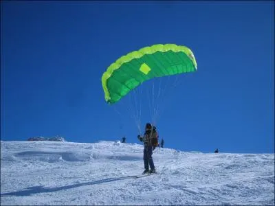 Comment s'appelle cette nouvelle discipline ?