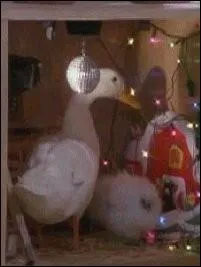 Qui a achet le canard et le poussin ?