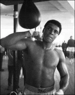 Boxeur amricain, n le 17 janvier 1942, qui a dbut sous le nom de Cassius Clay et a t  de nombreuses reprises champion du monde dans la catgorie poids lourd.