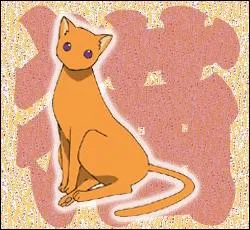 Qui se transforme en chat ?