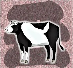 Qui se transforme en boeuf ?