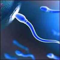 Pour les volontaires , il existe des mthodes chirurgicales de strilisation dfinitive . Comment s'appelle l'opration de strilisation chez la femme ?