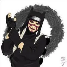 Il utilise des techniques de :